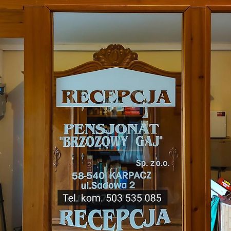 Brzozowy Gaj - Pensjonat Karpacz Luaran gambar