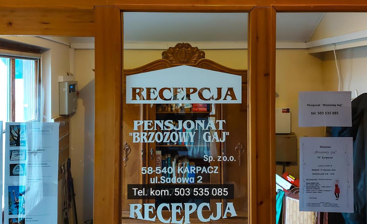 Brzozowy Gaj - Pensjonat Karpacz Luaran gambar